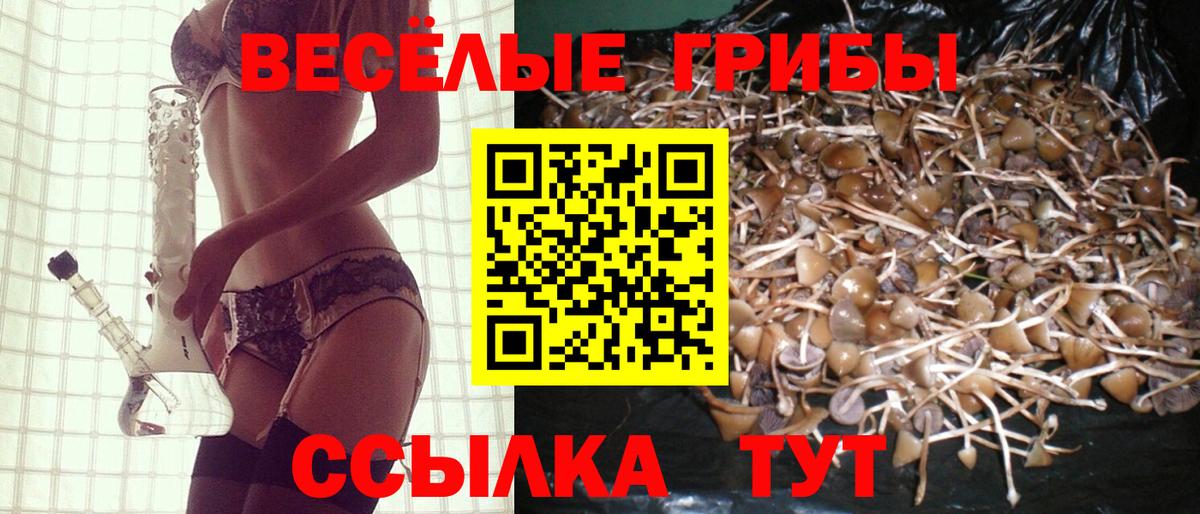 Псилоцибиновые грибы Psilocybine cubensis  Галлюциногенные грибы MAGIC MUSHROOMS  Нижний Новгород  Вход с VPN 