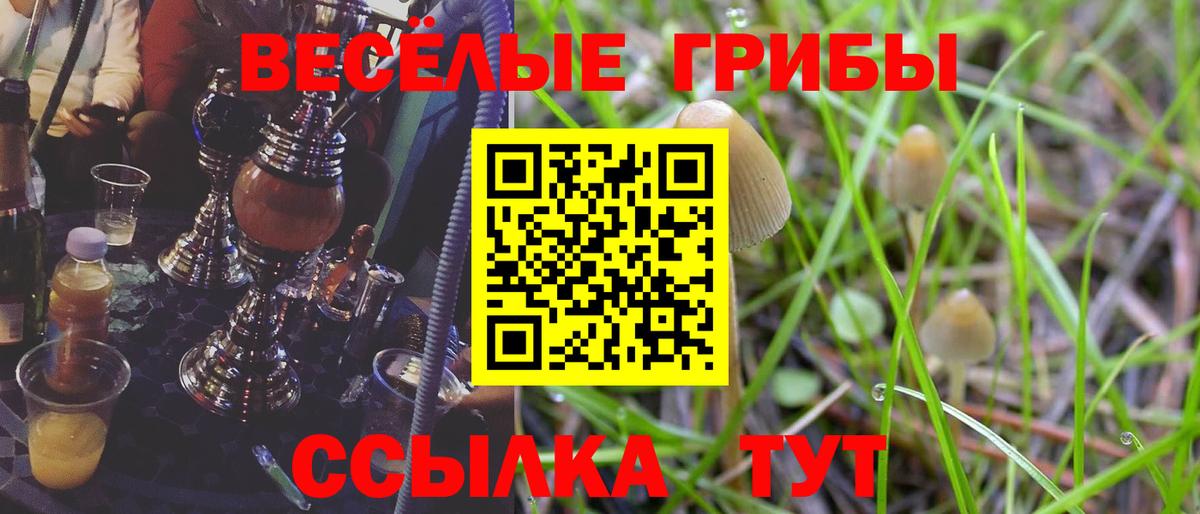 Галлюциногенные грибы MAGIC MUSHROOMS Нижний Новгород